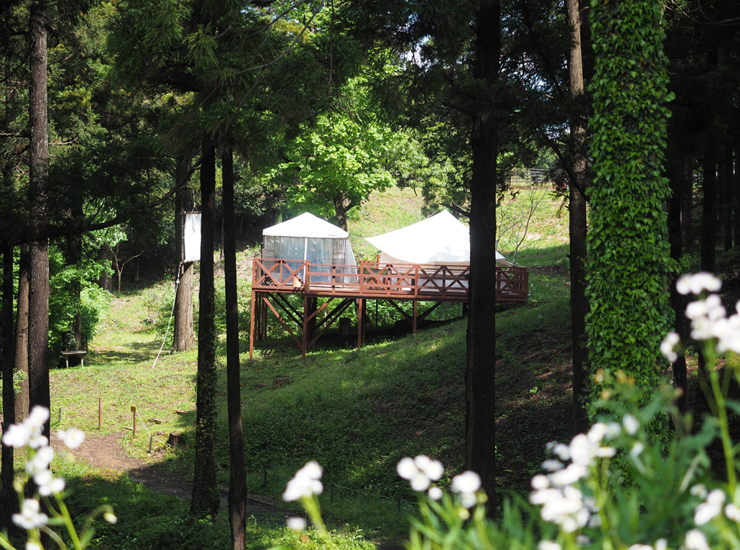 森の中の優雅なグランピング