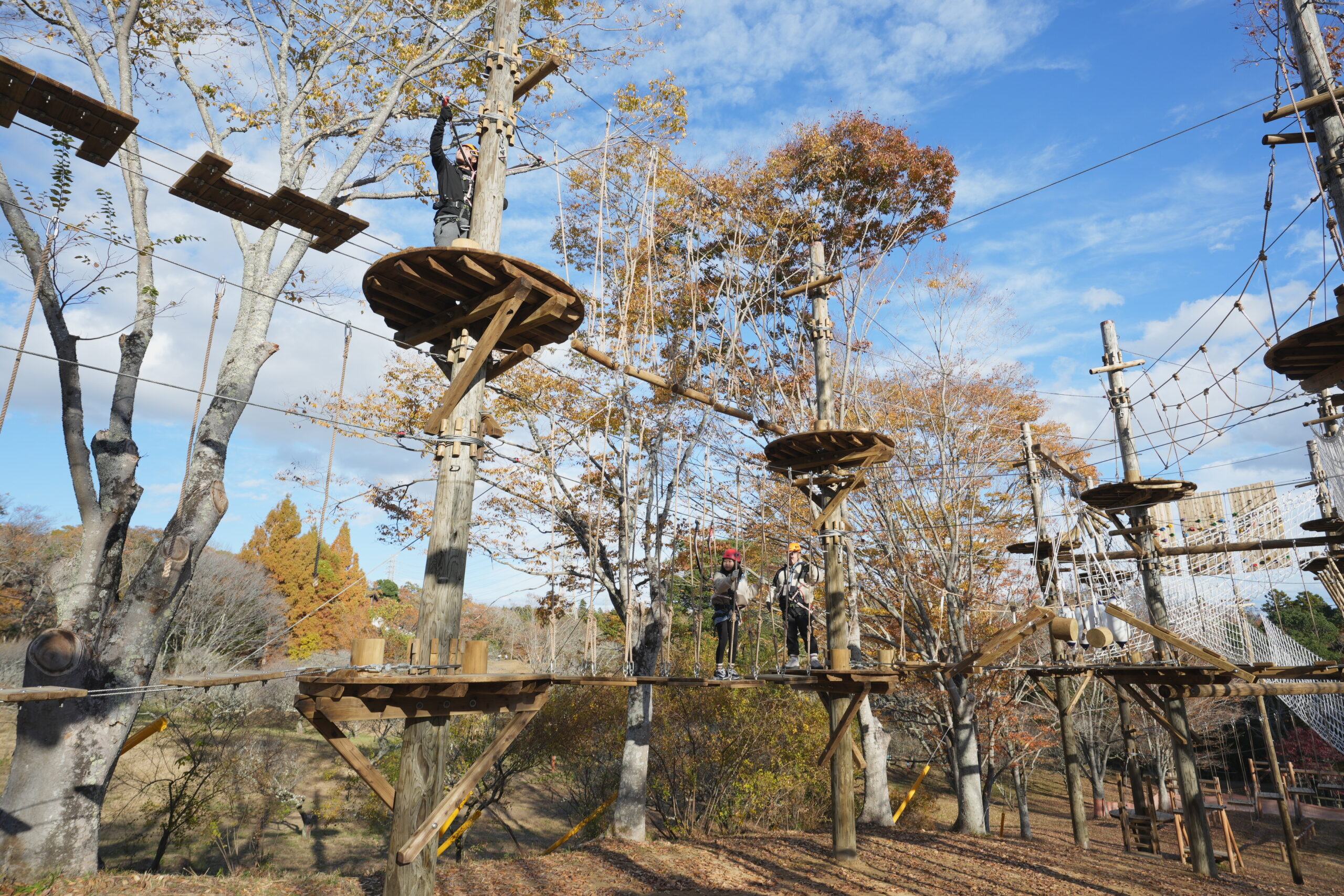 冒険心をくすぐるアスレチック