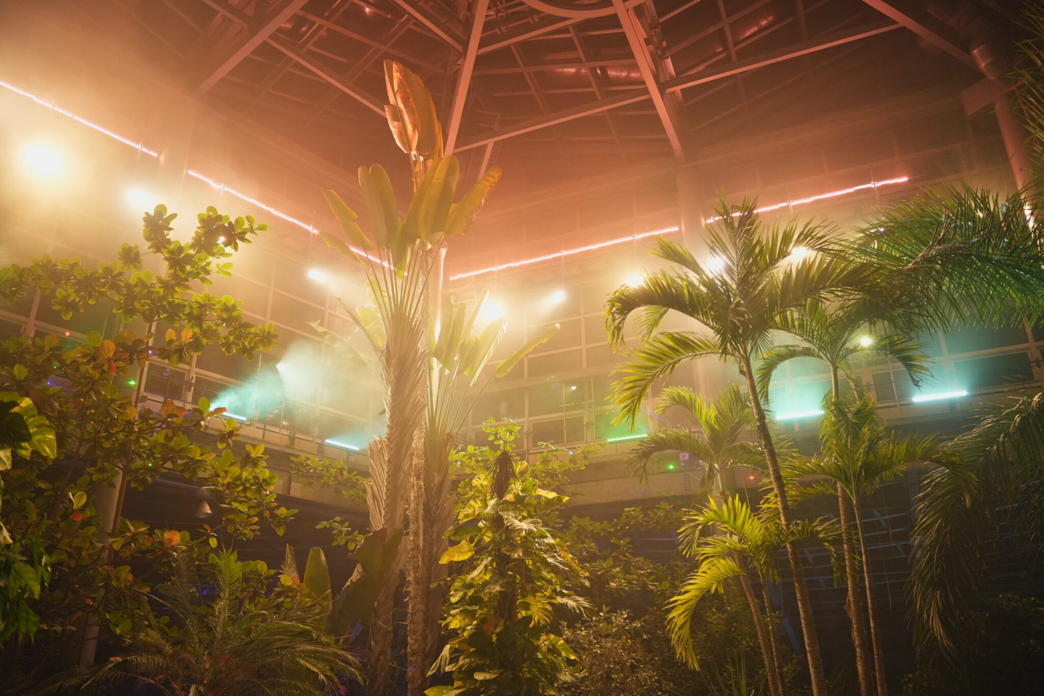 バニラドーム（熱帯植物館）のライトアップ
