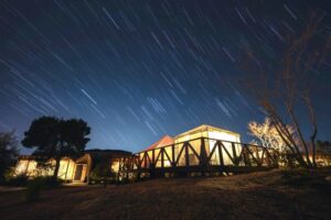 星を見あげるために、夜の予定を空けておく