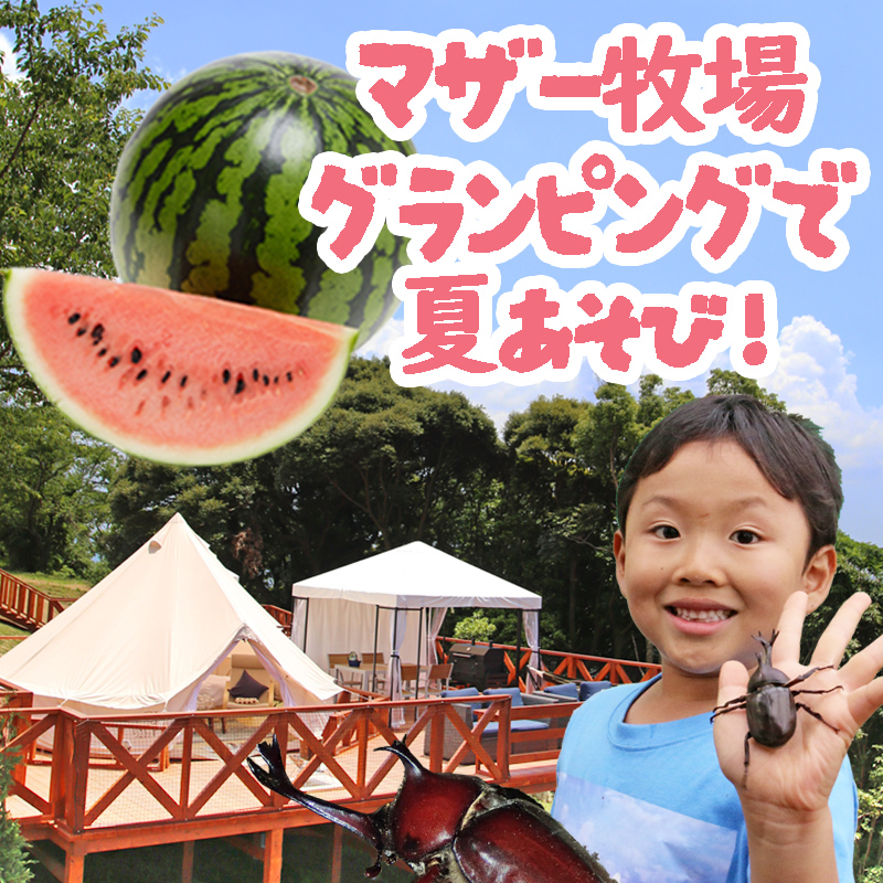 マザー牧場グランピングに夏限定アクティビティ登場