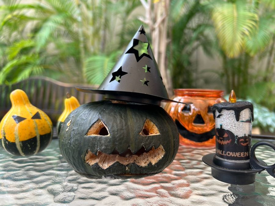 林音の森に、ハロウィンが迷い込んだ。森と植物に囲まれて楽しむ「林音